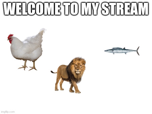 welcome | WELCOME TO MY STREAM | image tagged in welcome | made w/ Imgflip meme maker