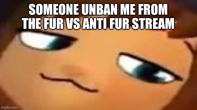 smug hat kid.mp4 | SOMEONE UNBAN ME FROM THE FUR VS ANTI FUR STREAM | image tagged in smug hat kid mp4 | made w/ Imgflip meme maker