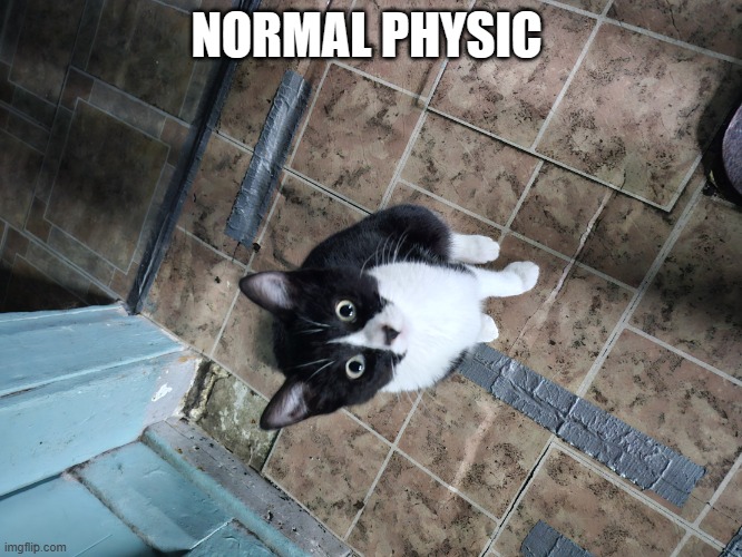 Surprised Sylvester | NORMAL PHYSIC | image tagged in surprised sylvester | made w/ Imgflip meme maker