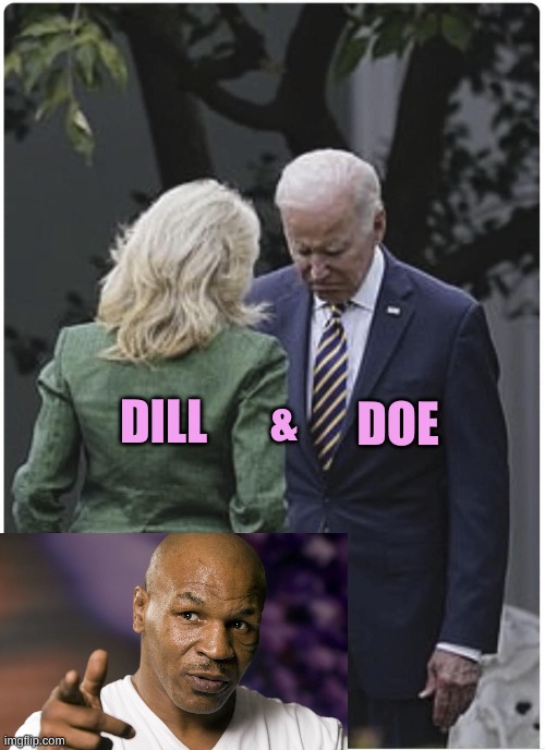 When you say it with a Listhp | DOE; DILL; & | image tagged in jill scolds joe biden and he pouts | made w/ Imgflip meme maker