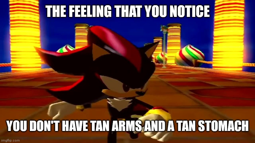 Lol | THE FEELING THAT YOU NOTICE; YOU DON'T HAVE TAN ARMS AND A TAN STOMACH | image tagged in damn fourth chaos emerald | made w/ Imgflip meme maker