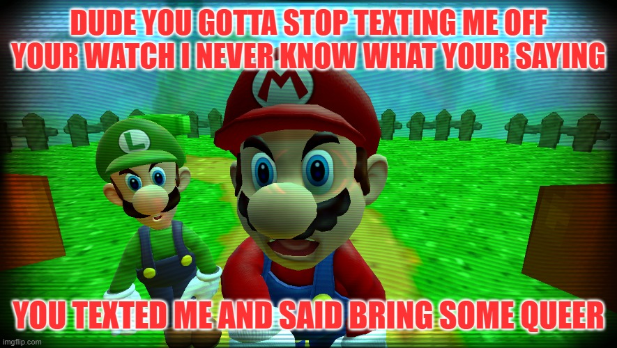 DUDE ANSWER THE DOOR | DUDE YOU GOTTA STOP TEXTING ME OFF YOUR WATCH I NEVER KNOW WHAT YOUR SAYING; YOU TEXTED ME AND SAID BRING SOME QUEER | image tagged in super mario,luigi,gmod | made w/ Imgflip meme maker