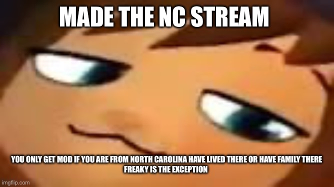 smug hat kid.mp4 | MADE THE NC STREAM; YOU ONLY GET MOD IF YOU ARE FROM NORTH CAROLINA HAVE LIVED THERE OR HAVE FAMILY THERE
FREAKY IS THE EXCEPTION | image tagged in smug hat kid mp4 | made w/ Imgflip meme maker