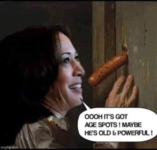 It's Probably willie brown, LOL!!!! | image tagged in democrats,kamala harris,california,vice president | made w/ Imgflip meme maker