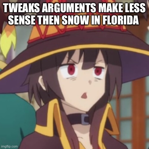 Megumin | TWEAKS ARGUMENTS MAKE LESS SENSE THEN SNOW IN FLORIDA | image tagged in megumin | made w/ Imgflip meme maker