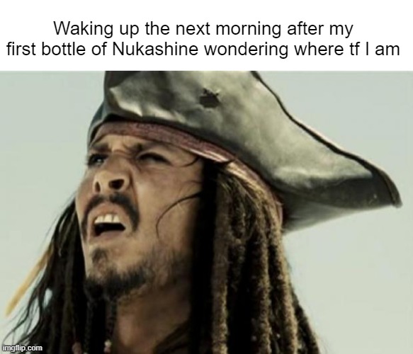 I'll admit that Wasted On Nukashine was a short but fun quest. | Waking up the next morning after my first bottle of Nukashine wondering where tf I am | image tagged in confused dafuq jack sparrow what,fallout,nukashine,fallout 76,wasted on nukashine | made w/ Imgflip meme maker
