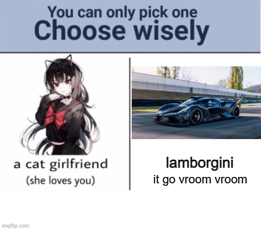 Choose wisely | lamborgini; it go vroom vroom | image tagged in choose wisely | made w/ Imgflip meme maker