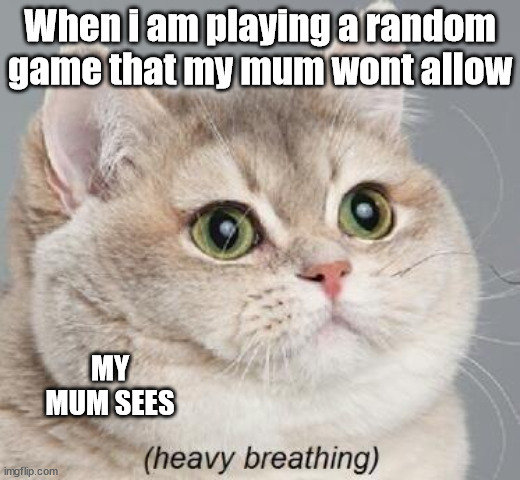 This happens a lot......Opps | When i am playing a random game that my mum wont allow; MY MUM SEES | image tagged in memes,heavy breathing cat | made w/ Imgflip meme maker