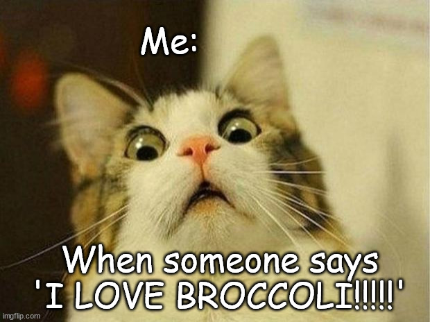 Someone did say this to me.....i said 'do you like chocolate' they said 'i hate it' i ran away.... | Me:; When someone says 'I LOVE BROCCOLI!!!!!' | image tagged in memes,scared cat | made w/ Imgflip meme maker