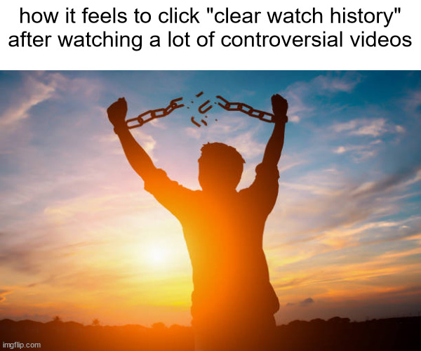 broken shackles | how it feels to click "clear watch history" after watching a lot of controversial videos | image tagged in broken shackles | made w/ Imgflip meme maker