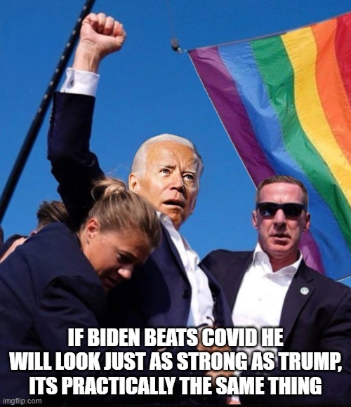 Joy Ann Reid Bless her heart | IF BIDEN BEATS COVID HE WILL LOOK JUST AS STRONG AS TRUMP, ITS PRACTICALLY THE SAME THING | image tagged in msnbc,tds,trump derangement syndrome,rachel maddow,maga,make america great again | made w/ Imgflip meme maker