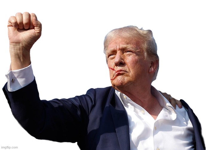Trump fist | image tagged in trump,donald trump,fist,winner,2024,fight | made w/ Imgflip meme maker
