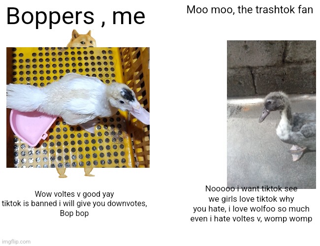 Bops vs womps | Boppers , me; Moo moo, the trashtok fan; Wow voltes v good yay tiktok is banned i will give you downvotes,
Bop bop; Nooooo i want tiktok see we girls love tiktok why you hate, i love wolfoo so much even i hate voltes v, womp womp | image tagged in memes,buff doge vs cheems,bop,womp womo | made w/ Imgflip meme maker