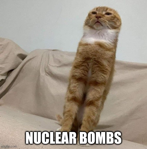 Idk I'm half asleep and this popped into my head- | NUCLEAR BOMBS | image tagged in long condescending cat | made w/ Imgflip meme maker