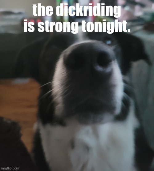 tweaks dock | the dickriding is strong tonight. | image tagged in tweaks dock | made w/ Imgflip meme maker