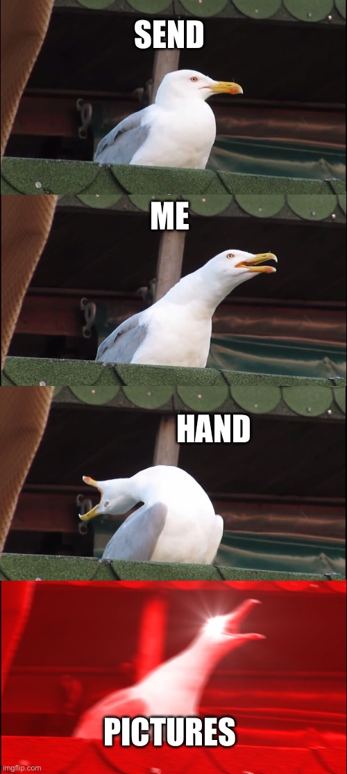 Inhaling Seagull | SEND; ME; HAND; PICTURES | image tagged in memes,inhaling seagull | made w/ Imgflip meme maker