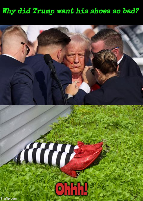 WTF with the shoes? | Why did Trump want his shoes so bad? Ohhh! | image tagged in putin's peds,satan's slippers,maga mad,i beileve i lost my shoes  clyde i think the dog got them,wicked witch,bonnie and clyde | made w/ Imgflip meme maker
