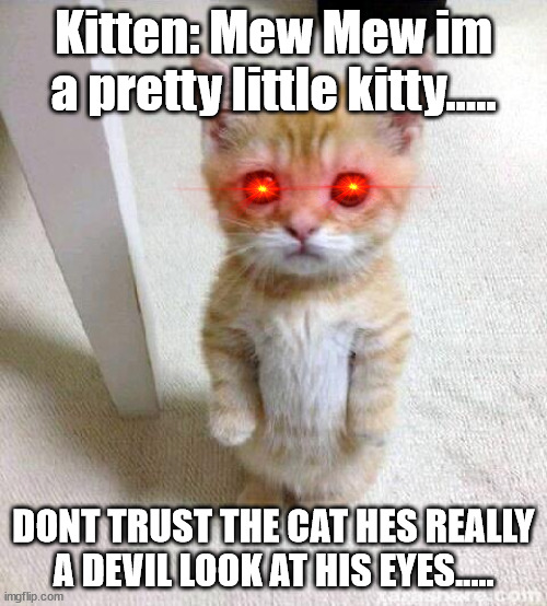 This is a devil do not trust hes a imposter and as i said HES A DEVIL hes saten | Kitten: Mew Mew im a pretty little kitty..... DONT TRUST THE CAT HES REALLY A DEVIL LOOK AT HIS EYES..... | image tagged in memes,cute cat | made w/ Imgflip meme maker