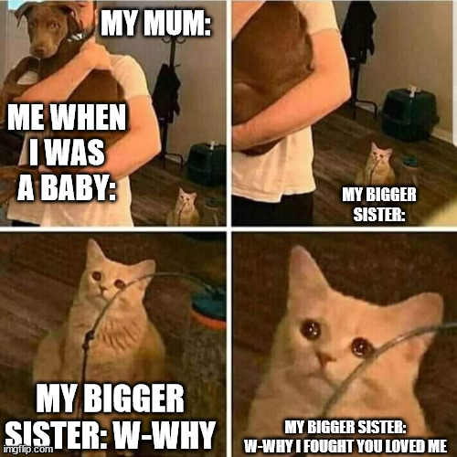My Sister getting abandoned | MY MUM:; ME WHEN I WAS A BABY:; MY BIGGER SISTER:; MY BIGGER SISTER: W-WHY; MY BIGGER SISTER: W-WHY I FOUGHT YOU LOVED ME | image tagged in sad cat holding dog | made w/ Imgflip meme maker