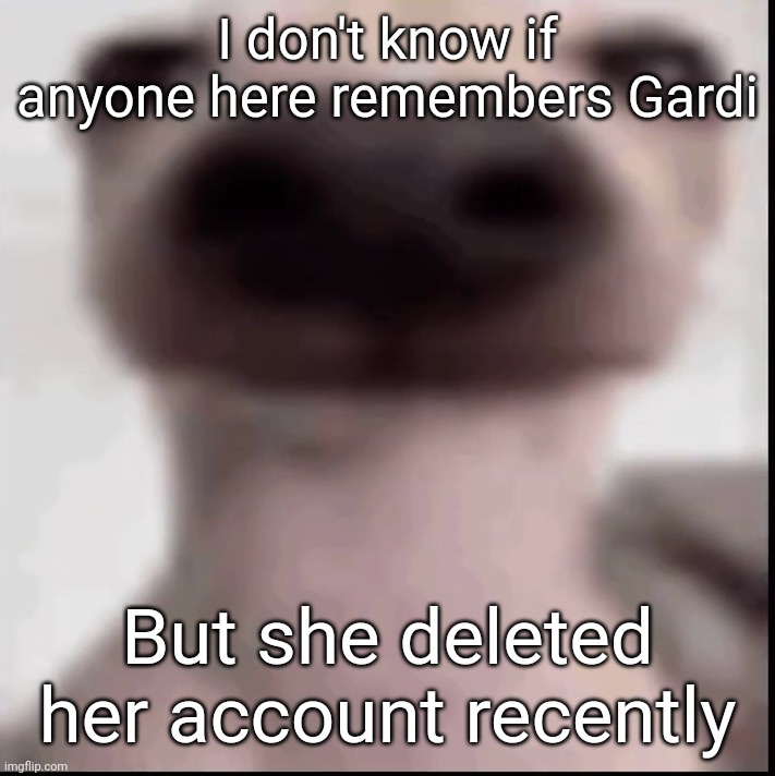 poopy | I don't know if anyone here remembers Gardi; But she deleted her account recently | image tagged in poopy | made w/ Imgflip meme maker