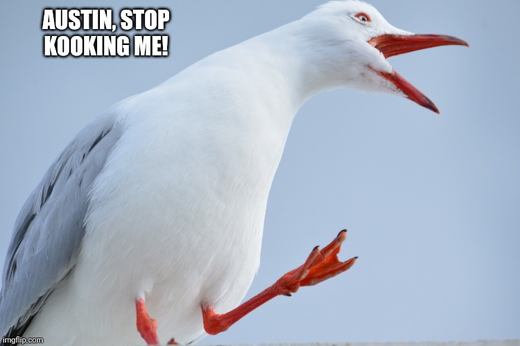 Stop kooking me! | AUSTIN, STOP KOOKING ME! | image tagged in funny | made w/ Imgflip meme maker