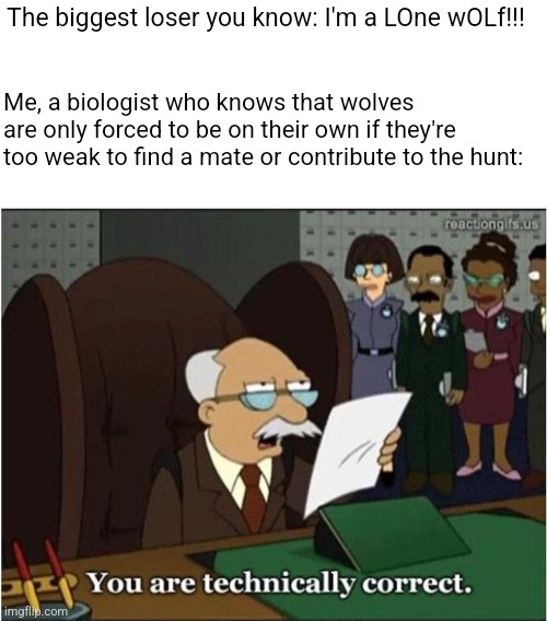 The biggest loser you know: I'm a LOne wOLf!!! Me, a biologist who knows that wolves are only forced to be on their own if they're too weak to find a mate or contribute to the hunt: | image tagged in funny memes,futurama,animals | made w/ Imgflip meme maker