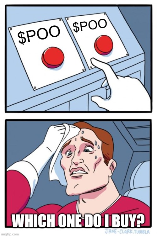 Two Buttons Meme | $POO; $POO; WHICH ONE DO I BUY? | image tagged in memes,two buttons | made w/ Imgflip meme maker