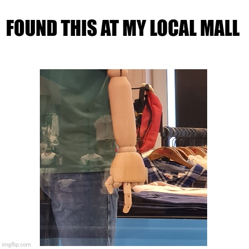 My local mall | FOUND THIS AT MY LOCAL MALL | image tagged in dummy | made w/ Imgflip meme maker