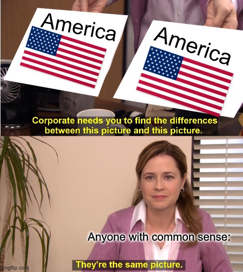 I see Brazil and china | America; America; Anyone with common sense: | image tagged in memes,they're the same picture | made w/ Imgflip meme maker