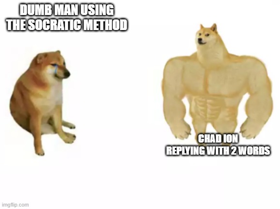 buff doge vs cheems reversed | DUMB MAN USING THE SOCRATIC METHOD; CHAD ION REPLYING WITH 2 WORDS | image tagged in buff doge vs cheems reversed | made w/ Imgflip meme maker