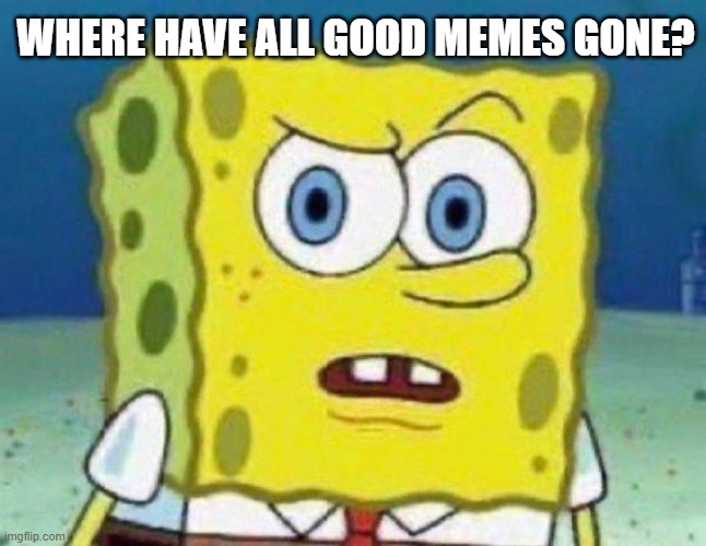 Where have all good memes gone? | WHERE HAVE ALL GOOD MEMES GONE? | image tagged in summer,holidays | made w/ Imgflip meme maker