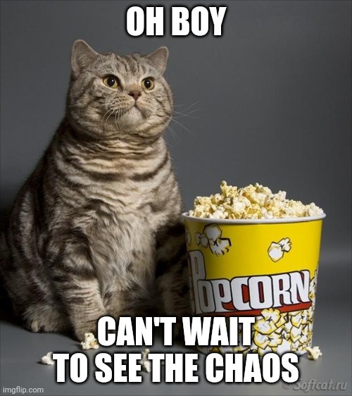 Cat eating popcorn | OH BOY CAN'T WAIT TO SEE THE CHAOS | image tagged in cat eating popcorn | made w/ Imgflip meme maker