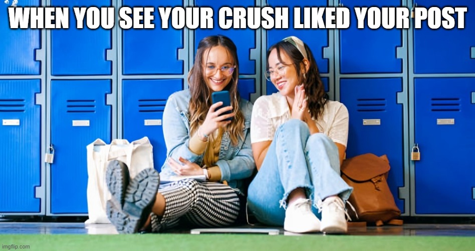 crush | WHEN YOU SEE YOUR CRUSH LIKED YOUR POST | image tagged in memes | made w/ Imgflip meme maker