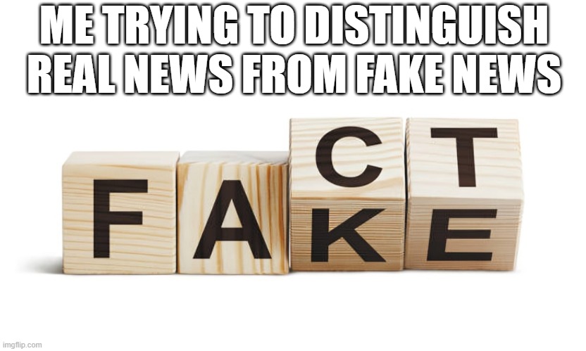 news | ME TRYING TO DISTINGUISH REAL NEWS FROM FAKE NEWS | image tagged in memes | made w/ Imgflip meme maker