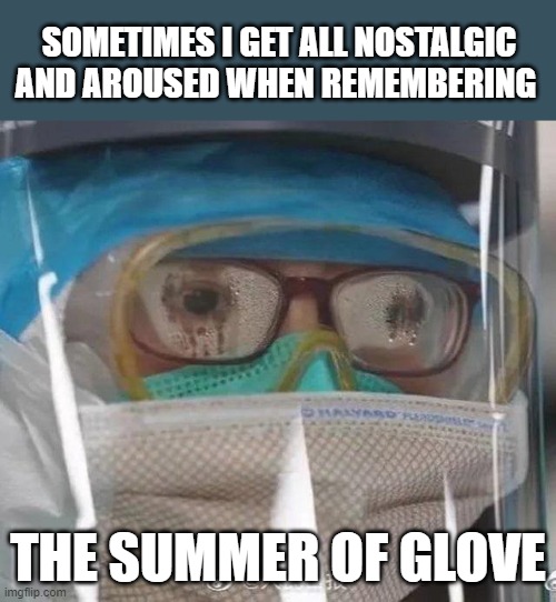 summer of glove | SOMETIMES I GET ALL NOSTALGIC AND AROUSED WHEN REMEMBERING; THE SUMMER OF GLOVE | image tagged in coronavirus,covid1984,corona hoax,covid hoax,face mask,social distancing | made w/ Imgflip meme maker