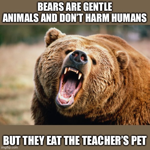 grizzly bear | BEARS ARE GENTLE ANIMALS AND DON’T HARM HUMANS; BUT THEY EAT THE TEACHER’S PET | image tagged in grizzly bear | made w/ Imgflip meme maker