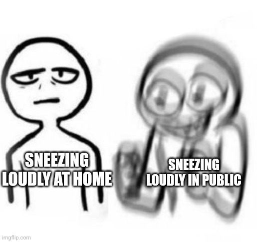 Sneezing loudly in public | SNEEZING LOUDLY IN PUBLIC; SNEEZING LOUDLY AT HOME | image tagged in tired vs hyper,relatable,funny,funny memes,memes,jpfan102504 | made w/ Imgflip meme maker