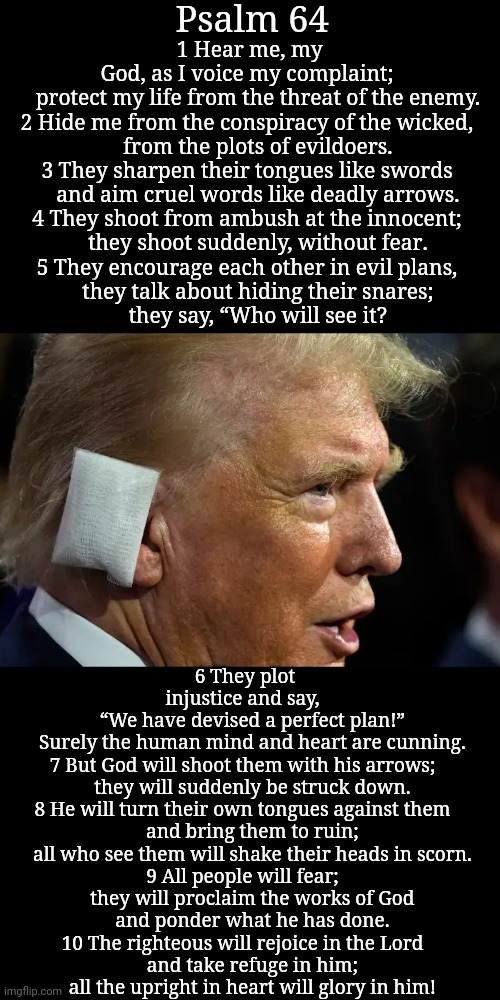 Trump Ear Bandage | Psalm 64; 1 Hear me, my God, as I voice my complaint;
    protect my life from the threat of the enemy.

2 Hide me from the conspiracy of the wicked,
    from the plots of evildoers.
3 They sharpen their tongues like swords
    and aim cruel words like deadly arrows.
4 They shoot from ambush at the innocent;
    they shoot suddenly, without fear.

5 They encourage each other in evil plans,
    they talk about hiding their snares;
    they say, “Who will see it? 6 They plot injustice and say,
    “We have devised a perfect plan!”
    Surely the human mind and heart are cunning.

7 But God will shoot them with his arrows;
    they will suddenly be struck down.
8 He will turn their own tongues against them
    and bring them to ruin;
    all who see them will shake their heads in scorn.
9 All people will fear;
    they will proclaim the works of God
    and ponder what he has done.

10 The righteous will rejoice in the Lord
    and take refuge in him;
    all the upright in heart will glory in him! | image tagged in trump ear bandage | made w/ Imgflip meme maker