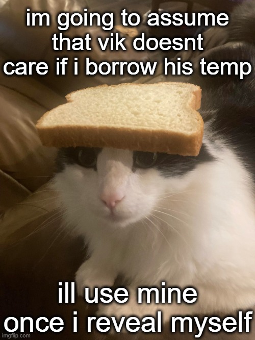 bread cat | im going to assume that vik doesnt care if i borrow his temp; ill use mine once i reveal myself | image tagged in bread cat | made w/ Imgflip meme maker