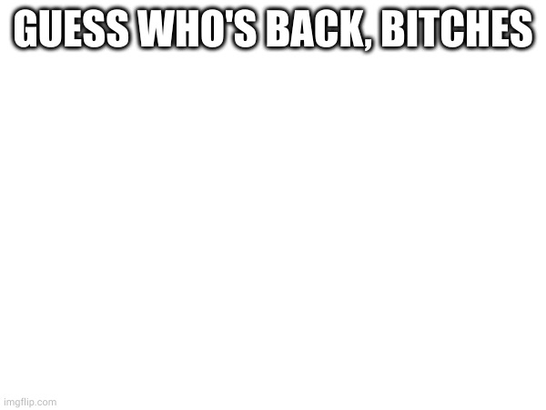 Vicki is back :> | GUESS WHO'S BACK, BITCHES | image tagged in guess who,ight im back,im back,hello | made w/ Imgflip meme maker