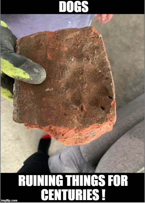 Paw Print In A 300 Year Old Brick | DOGS; RUINING THINGS FOR
CENTURIES ! | image tagged in dog,paw print,brick | made w/ Imgflip meme maker
