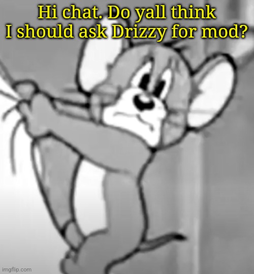 awww the skrunkly | Hi chat. Do yall think I should ask Drizzy for mod? | image tagged in awww the skrunkly | made w/ Imgflip meme maker