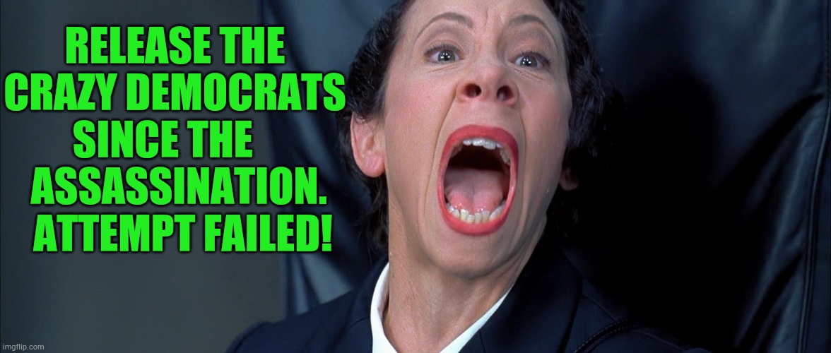 Democrat's Reaction | RELEASE THE CRAZY DEMOCRATS  SINCE THE    
 ASSASSINATION.   ATTEMPT FAILED! | image tagged in memes,politics,democrats,reactions,assassination,try | made w/ Imgflip meme maker
