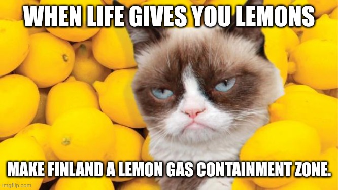 Grumpy Cat lemons