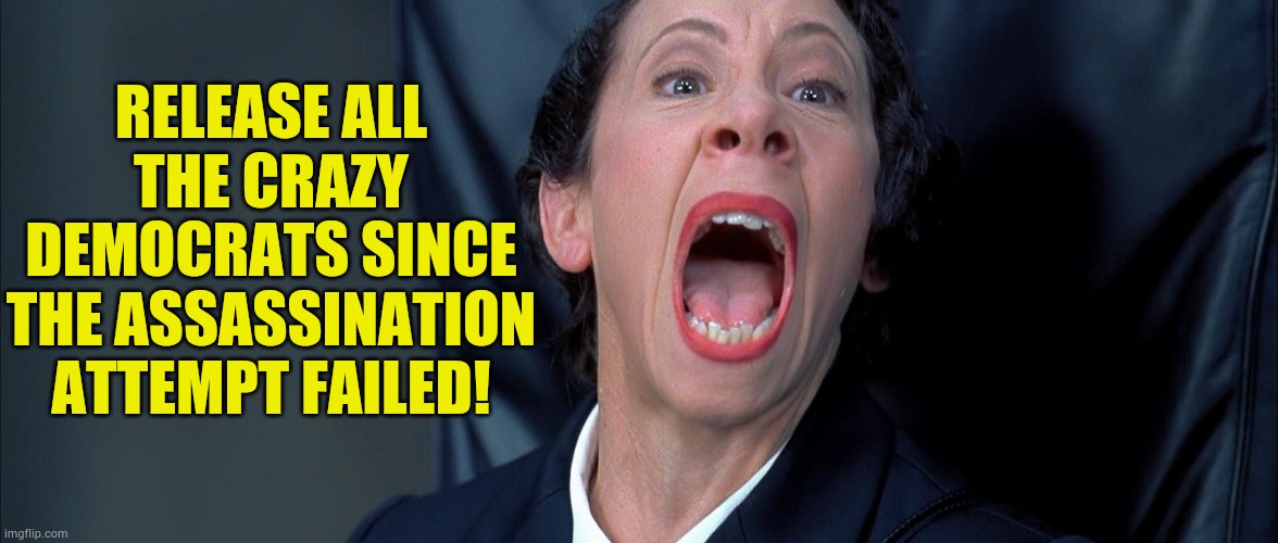 Crazy Democrats | RELEASE ALL THE CRAZY DEMOCRATS SINCE THE ASSASSINATION ATTEMPT FAILED! | image tagged in memes,democrats,crazy,response,donald trump,event | made w/ Imgflip meme maker