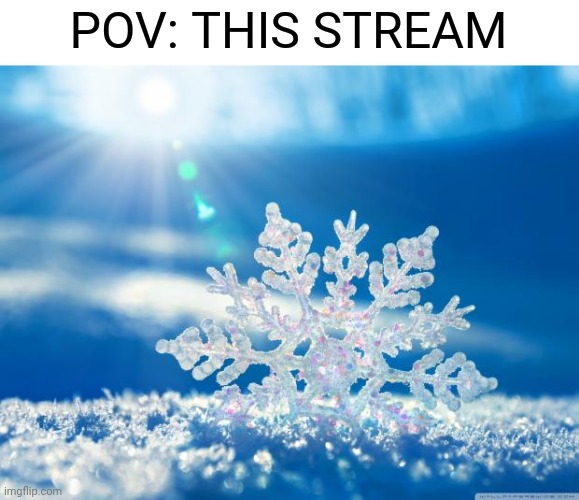 snowflake | POV: THIS STREAM | image tagged in snowflake | made w/ Imgflip meme maker