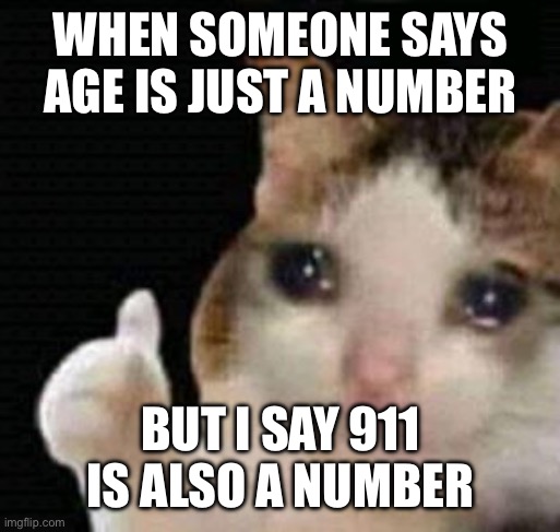 Fr | WHEN SOMEONE SAYS AGE IS JUST A NUMBER; BUT I SAY 911 IS ALSO A NUMBER | image tagged in sad thumbs up cat,911,number | made w/ Imgflip meme maker