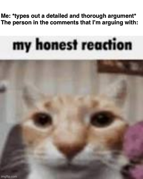 You win some, you lose some | Me: *types out a detailed and thorough argument*
The person in the comments that I’m arguing with: | image tagged in my honest reaction,memes,funny,why are you reading this,stop reading the tags | made w/ Imgflip meme maker