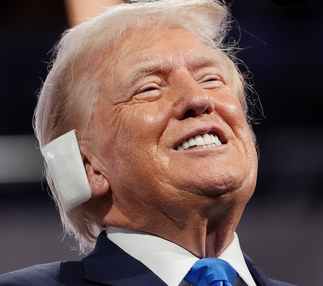 High Quality Trump Smile Blank Meme Template