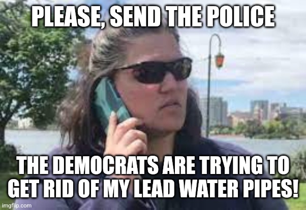 Some of ya'll protested this, and it shows | PLEASE, SEND THE POLICE; THE DEMOCRATS ARE TRYING TO GET RID OF MY LEAD WATER PIPES! | image tagged in karen on phone,scumbag republicans,terrorists,trailer trash,jeffrey epstein | made w/ Imgflip meme maker